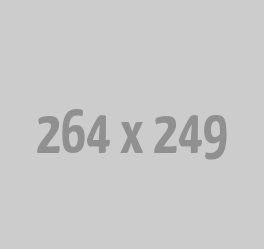 Conversational Ai solutions at Scale